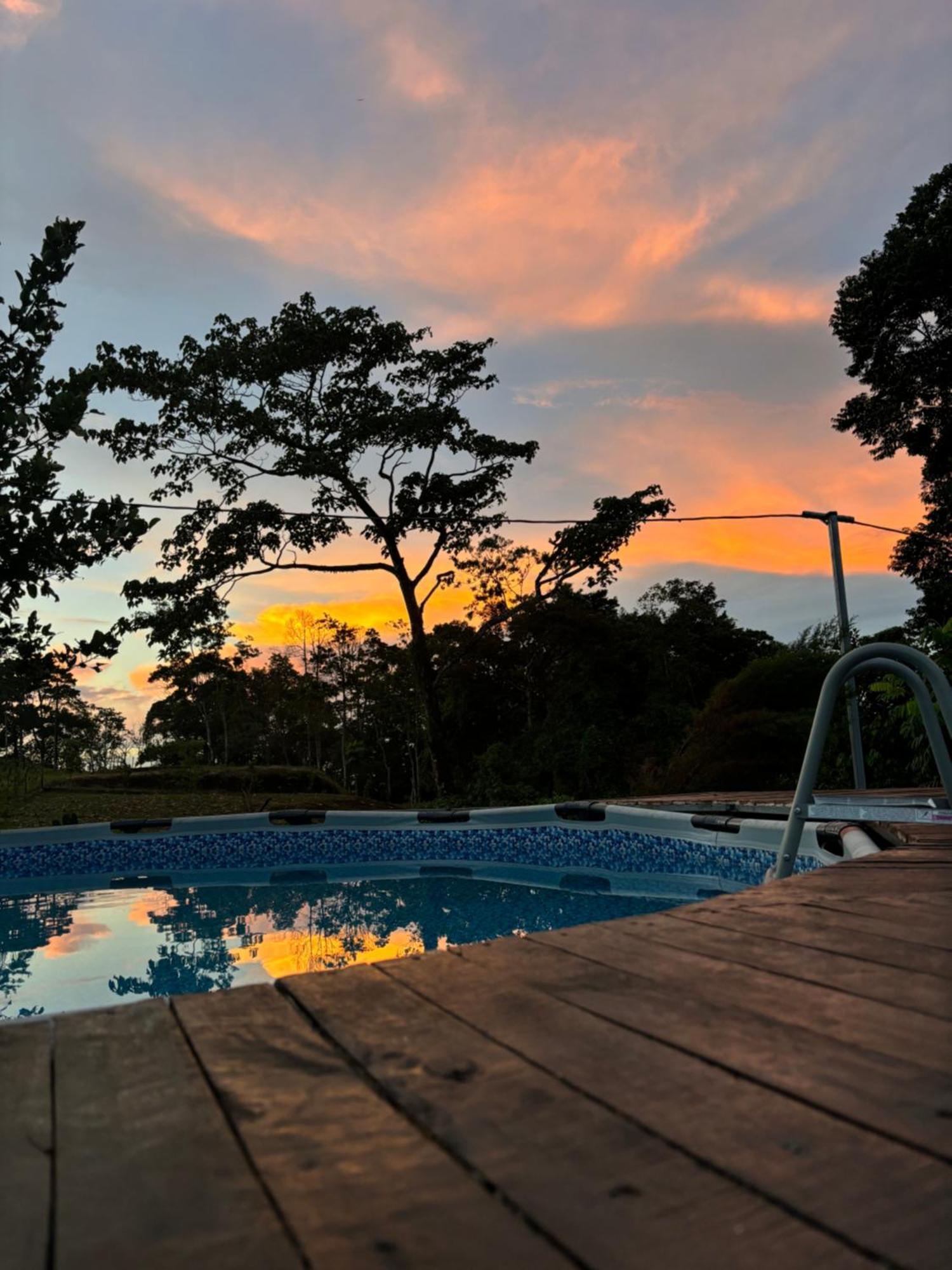 Magui. * Aguas Zarcas
